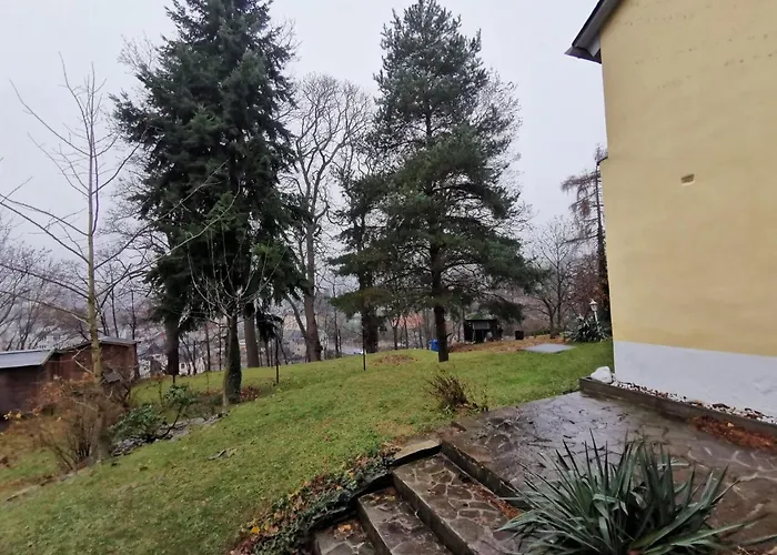 Schnorr-villa * Schneeberg (Saxony)